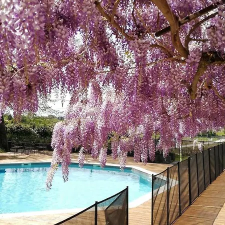 Chateau Montplaisir Charming In Provence *